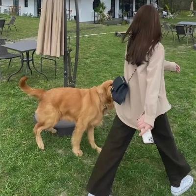 大炮之街